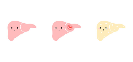Liver illustration set. Human organ. Medical concept.
