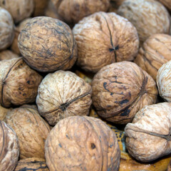 lots of shelled walnuts. walnuts in shell close-up. Square image.