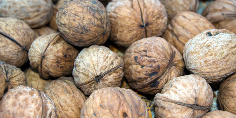 lots of shelled walnuts. walnuts in shell close-up. Banner for insertion into site. Place for text cope space. Horizontal image.