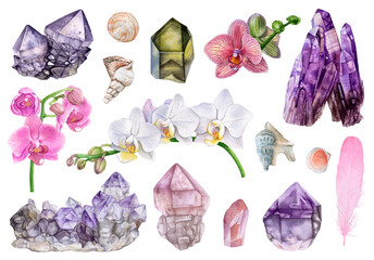 Set of watercolor crystals, orchids, seashells isolated on white background.