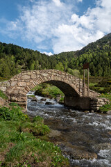 Fototapeta na wymiar Bridge the Vall de Incles in Andorra in spring 2022.