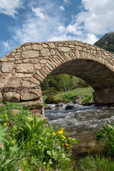 Obraz na płótnie Canvas Bridge the Vall de Incles in Andorra in spring 2022.