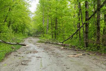 Tree Damage Rural Ontario Storm Damages May 21, 2022