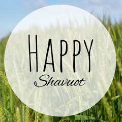 Fototapeta na wymiar Digital composite image of shavuot text on wheat field during sunny day