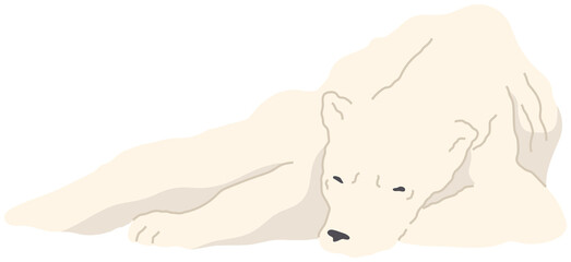 Carnivorous mammal, predator living in arctica. Fluffy polar bear while resting. Animal with white fur, sleeping bear. Wildlife representative of north pole. Lying polar animal vector illustration
