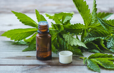 hemp oil. fresh cannabis leaves. Jars of cannabis oil.