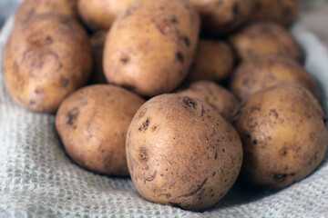Organic potatoes close up. Useful vegetables. Unwashed roots.
