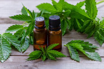 hemp oil. fresh cannabis leaves. Jars of cannabis oil.