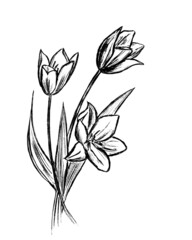 black outline of a bouquet of flowers on a white background