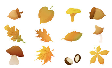 Leaves mushrooms and nuts. Set of withering leaves and other seasonal elements. Vector illustration
