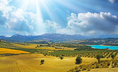 Beautiful wide rural country valley landscape, blue turquoise swimming lake, olive groves,...