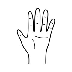 Palm five fingers up. Hand gesture of greeting, vector illustration of isolate on white.
