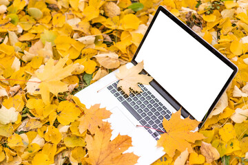 blank screen laptop computer on terrace with beautiful autumn colorful red and yellow maple leaves background, copy space for display presentation, marketing, advertisement concept