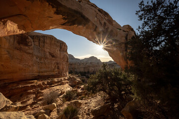 Sun Burst Through Hickman Bridge