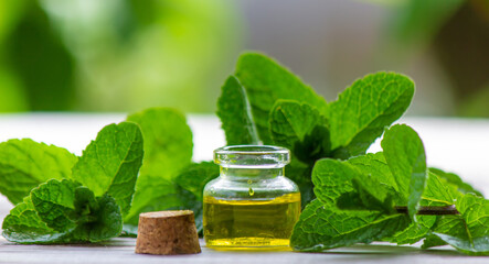 Bottle with essential oil and mint isolated on a light background.