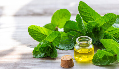 Bottle with essential oil and mint isolated on a light background.