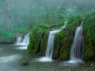 waterfall in the forest