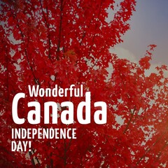 Digital composite image of wonderful canada independence day text against red maple leaves on tree