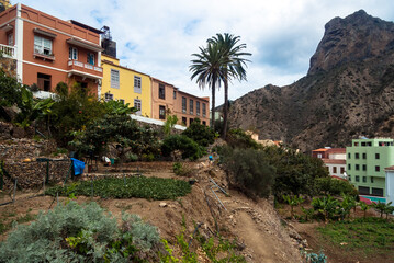 Vallehermoso, La Gomera, Canary Islands, Spain: vegetable cultivation with the village and the mountain in the background
