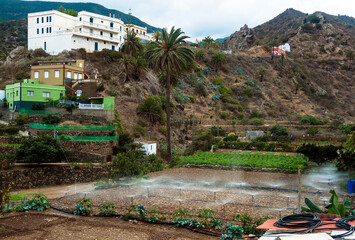 Vallehermoso, La Gomera, Canary Islands, Spain:
 cultivation irrigation