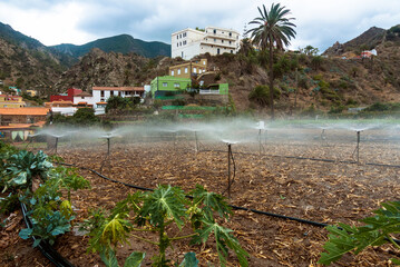 Vallehermoso, La Gomera, Canary Islands, Spain:
cultivation irrigation