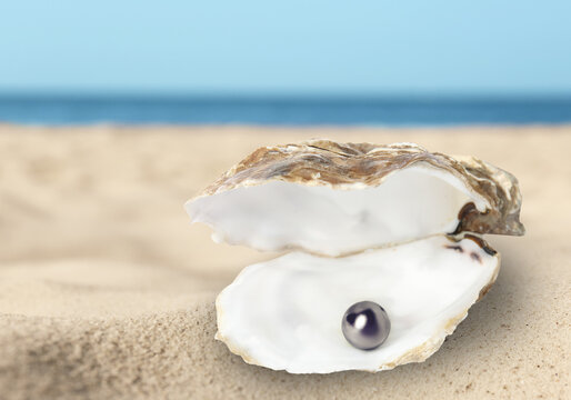 Open oyster shell with black pearl on sandy beach near sea - Powered by Adobe