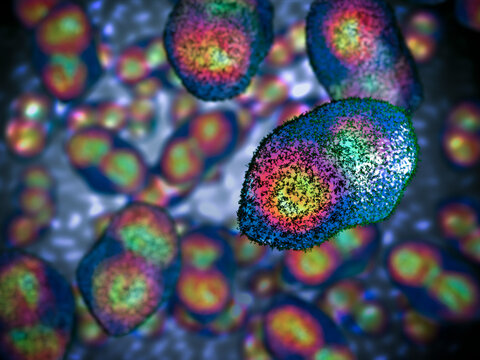 Smallpox virus under the microscope. There are many types of smallpox viruses, including chickenpox, monkeypox, and smallpox. 3D rendering