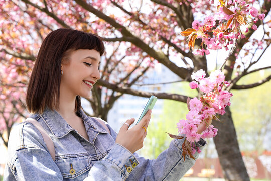 Beautiful young woman taking picture of blossoming sakura tree branch in park