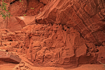 Arizona