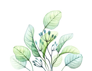 Watercolor leaves bouquet. Greenery in composition on the bottom edge. Hand drawn botanical illustration isolated on white. Abstract transparent floral design. Card template
