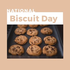 Composite image of national biscuit day text with chocolate chip biscuits in tray