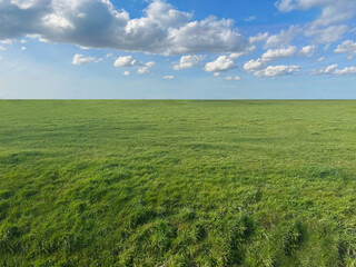 Fototapeta na wymiar Beautiful landscape with green grass on sunny day