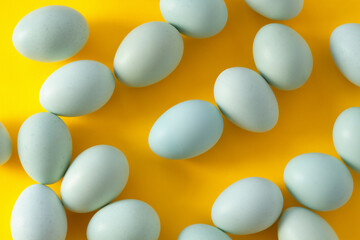 Fresh organic blue eggs on the yellow background. Top view. Not painted,