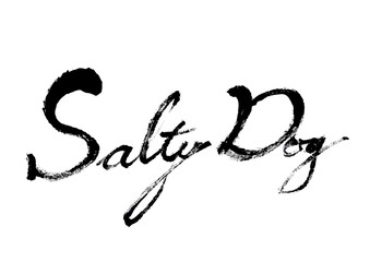 Fototapeta premium 【SaltyDog】手書き筆文字素材