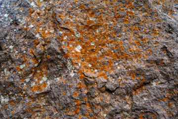 Stone wall with abstract pattern under sunlight.