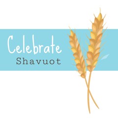 Illustration of celebrate shavuot text by wheat ears against blue background, copy space