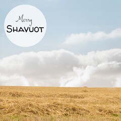 Fototapeta na wymiar Digital composite image of merry shavuot text over wheat field against blue sky, copy space