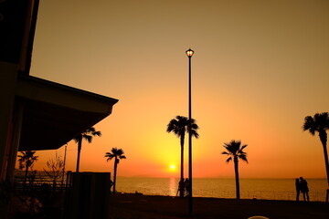 Fototapeta premium 海岸と夕日と椰子の木