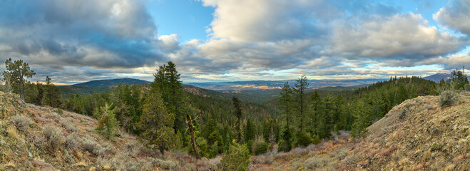 Fototapeta na wymiar Panorama with mountain forest in eastern Oregon in autmn season.