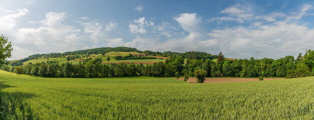 Landscape of the Monts du Lyonnais, in spring, in the Rhône in Auvergne-Rhône-Alpes, France
