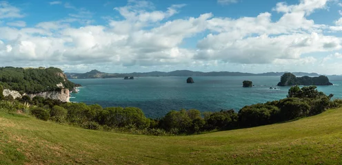 Foto op Aluminium Panoramic view of Coromandel Peninsula on the way to Cathedral Cove. New Zealand © Pajaros Volando