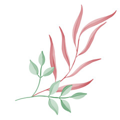 Watercolor leaf, watercolor leaves