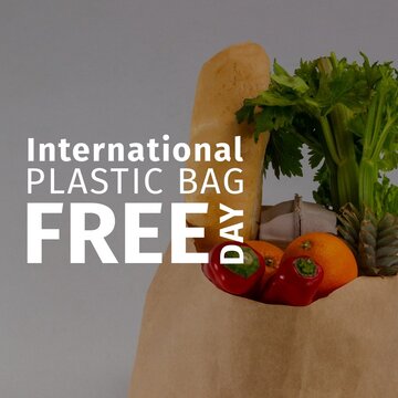 Digital composite image of international plastic bag free day text with groceries in paper bag