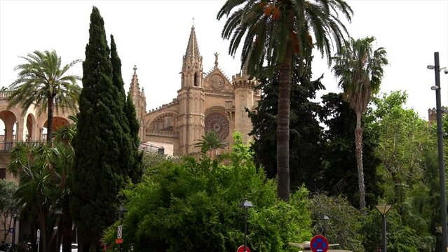 Cathedral of palma de mallorca from Passeing del Born, Spain