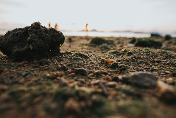 Little crab El Nido Sunset