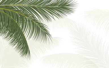 palm branch, coconut leaf