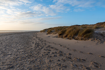 sand dunes on the beach
