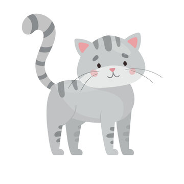 Gray striped cat. Cute kitten character vector illustration. Flat style isolated on white background. Funny baby pet
