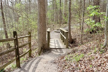 A front view of the wood footbridge in the forest.