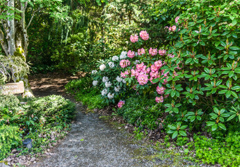 South_Seattle_Arboretum_Walkway 3